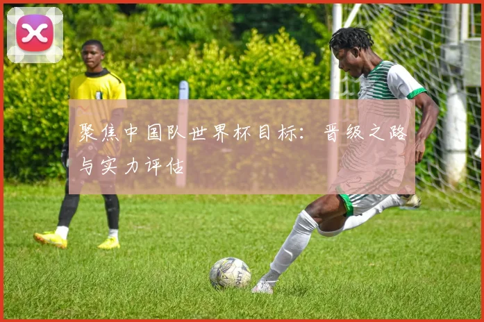 聚焦中国队世界杯目标：晋级之路与实力评估