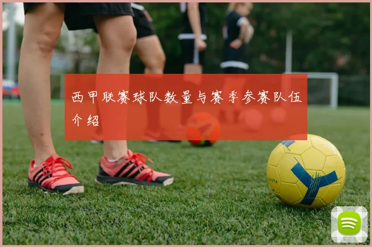西甲联赛球队数量与赛季参赛队伍介绍