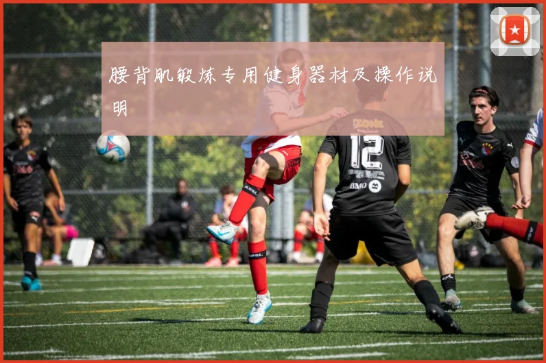 腰背肌锻炼专用健身器材及操作说明