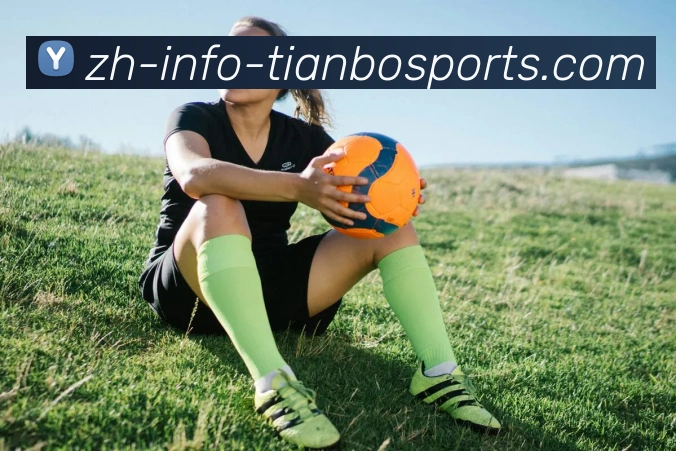 天博app发展历程